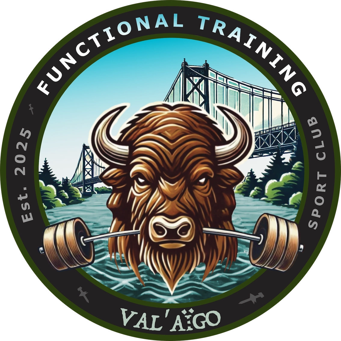 Logo Functional Training Val'Aïgo